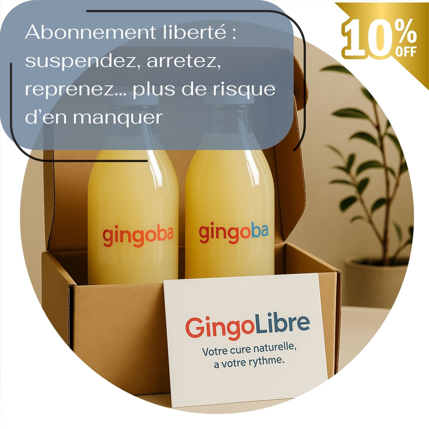Gingoba Shot, élixir énergisant naturel au Gingembre